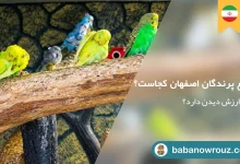 مقاله باغ پرندگان اصفهان