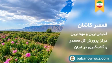 راهنمای سفر به قمصر کاشان